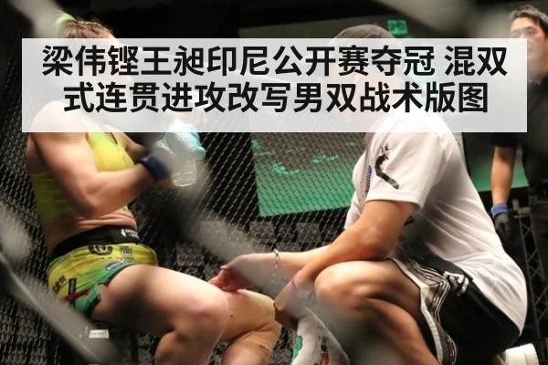 梁伟铿王昶印尼公开赛夺冠 混双式连贯进攻改写男双战术版图