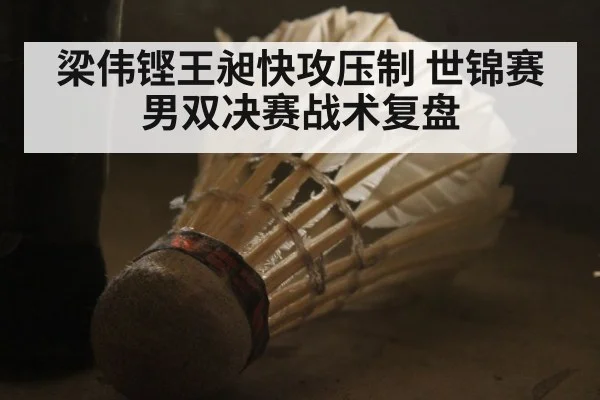 梁伟铿王昶快攻压制 世锦赛男双决赛战术复盘