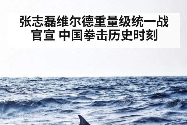 张志磊维尔德重量级统一战官宣 中国拳击历史时刻